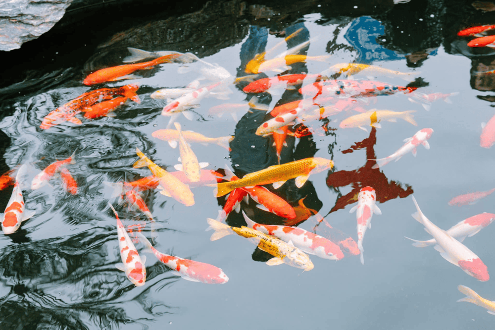 Trong khuôn viên đền có nhiều tiểu cảnh cho du khách tham quan, chụp ảnh. (Nguồn:  Fanpage Lảnh Giang Linh Từ)